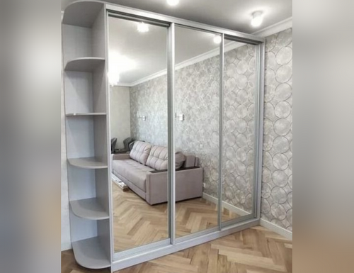 Серебряный шкаф в Старой Купавне